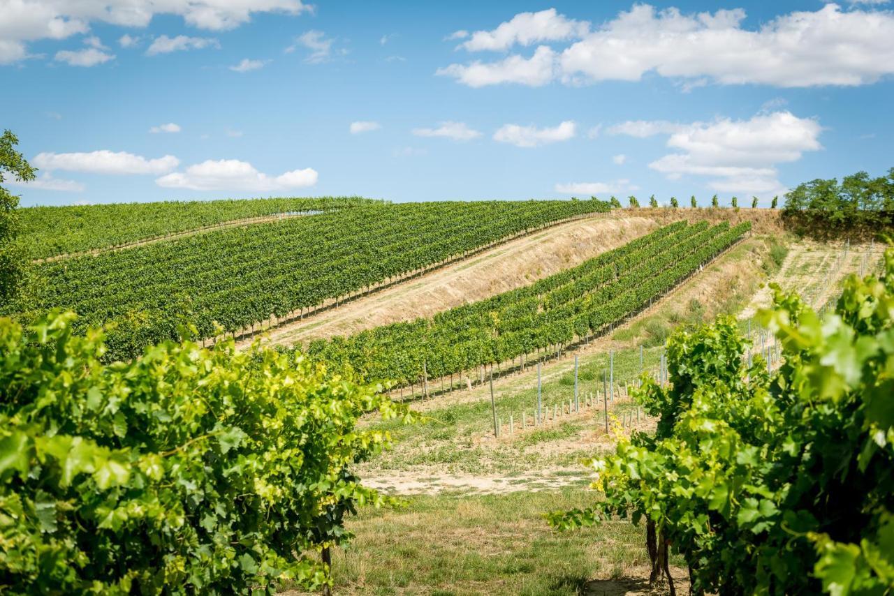 Kalladorf Weingut Burger酒店 外观 照片